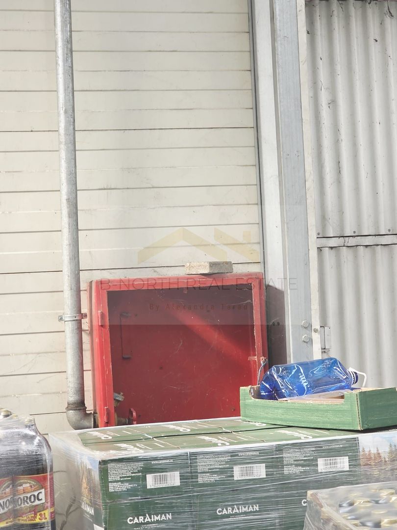Spre Inchiriere : Spatiul Comercial si Depozit - Poză 4