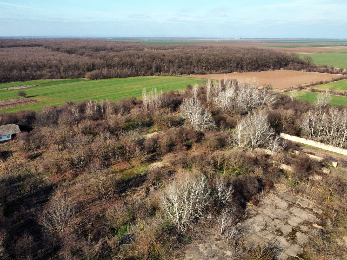 Ferma si livada de meri in judetul Ilfov - Poză 14