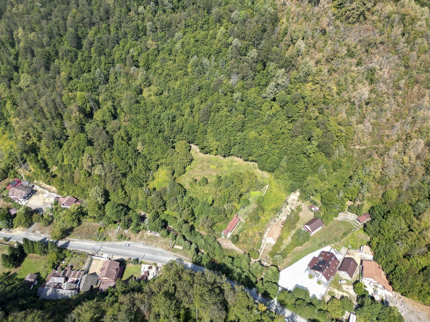 Teren intravilan de 1500 mp pe deal în Moneasa - Poză 4