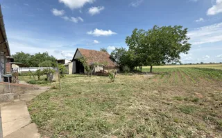 Casă 4 camere, Teren 1955 mp Str. Vezendiului Nr. 366 - Loc. Petrești, Satu Mare - Poză 15