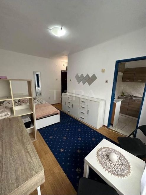 Garsonieră cochetă în Gruia, aproape de stadionul CFR. - Poză 3