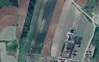 Teren extravilan de vânzare, str. Conacului, sat Proselnici, com. Miroslava, Iași - Poză 4