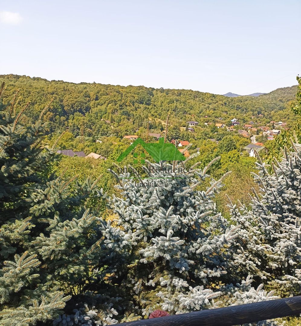 Vilă P+M, 10 ari teren, panoramă superbă – Valea Borcutului - Poză 14