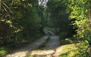 Teren Intravilan | 3300 Mp | Potential de Investitie | Utilitati in Apropiere - Poză 3