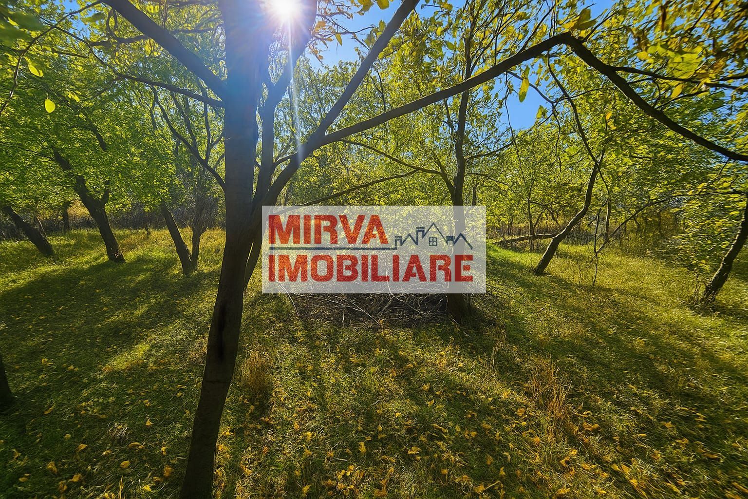 🏡 Casă tradițională într-un peisaj de vis – Vâlcănești - Poză 27