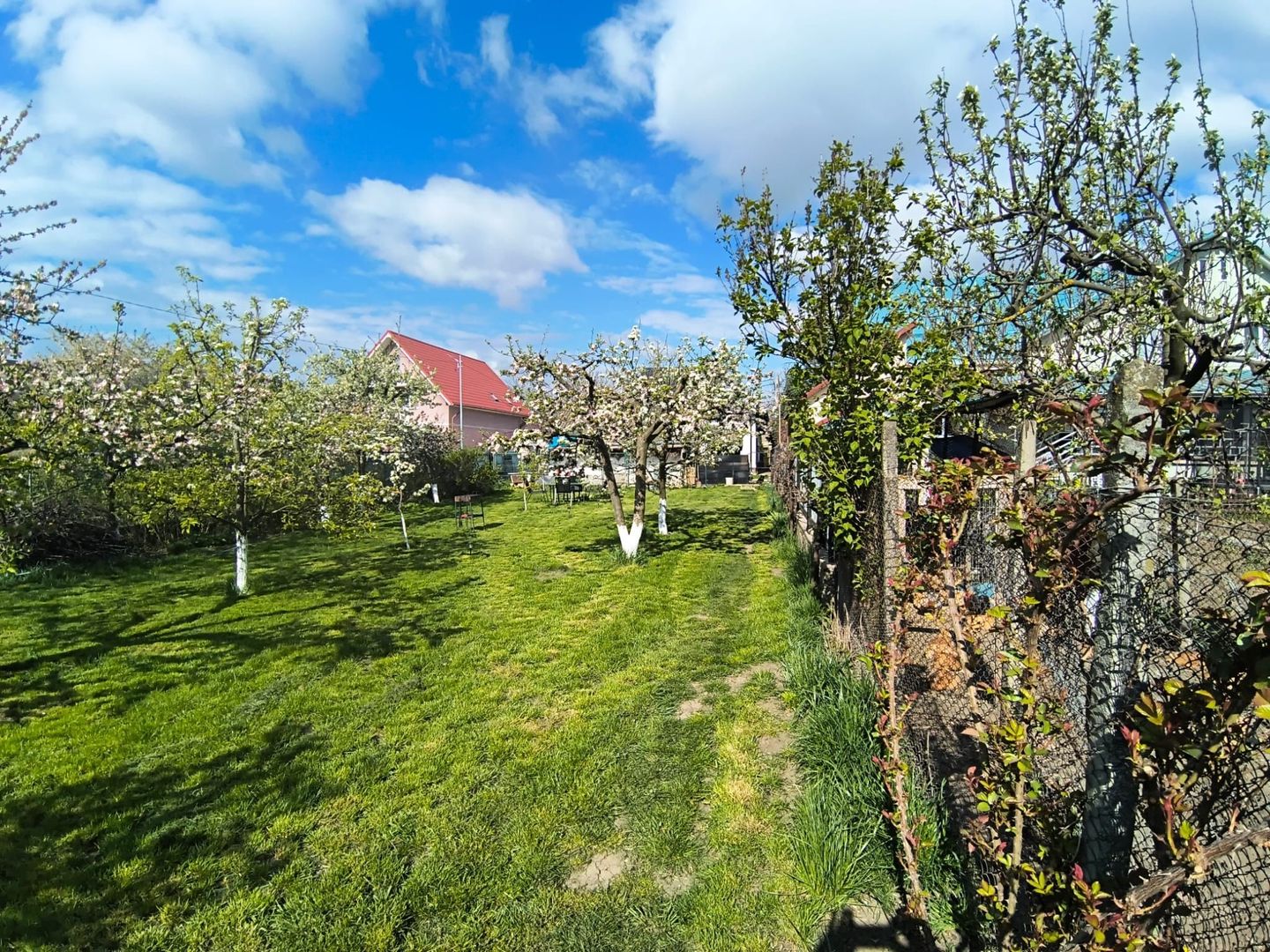 Casa + Teren Generos 1400 MP | Burdujeni – zona Penny - Poză 22