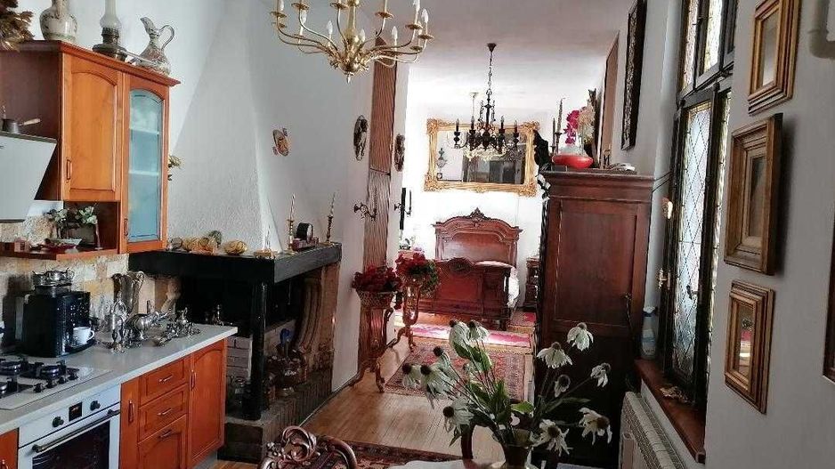 COTROCENI - Cuibușorul de nebunii al pictorului Zamfir DUMITRESCU - Poză 3