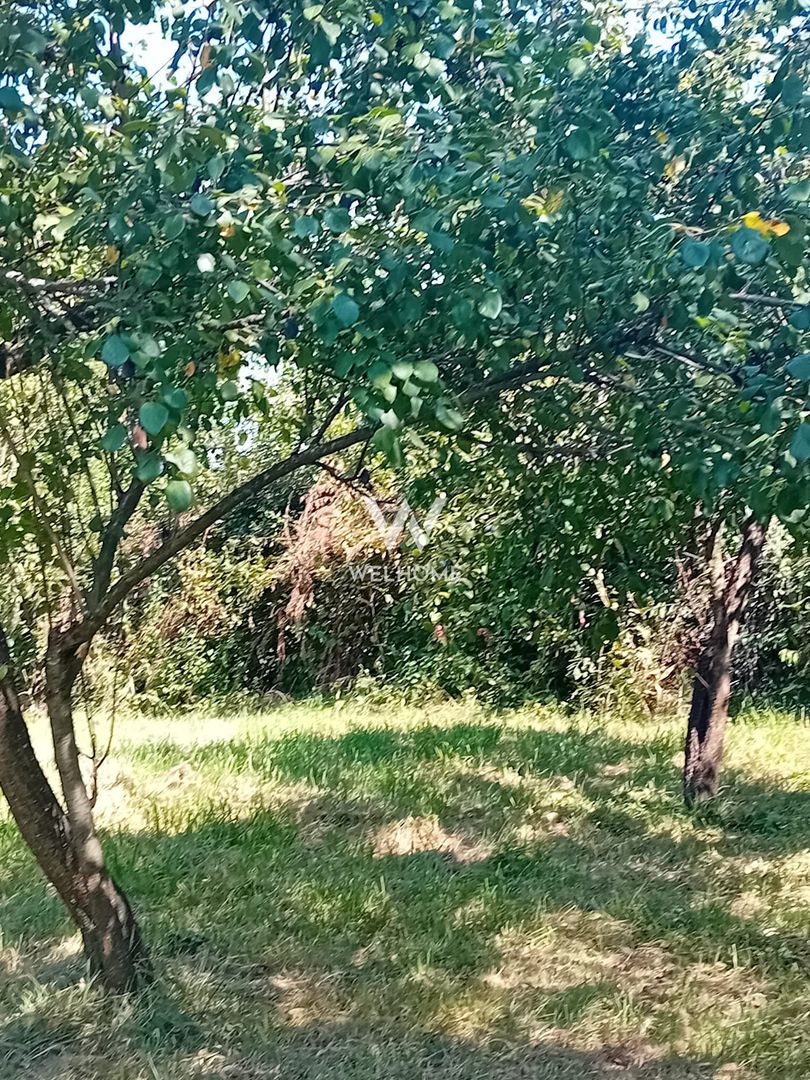 974 mp de vis, între pădure și cer - Teren intravilan, Cisnadioara, Sibiu - Poză 6