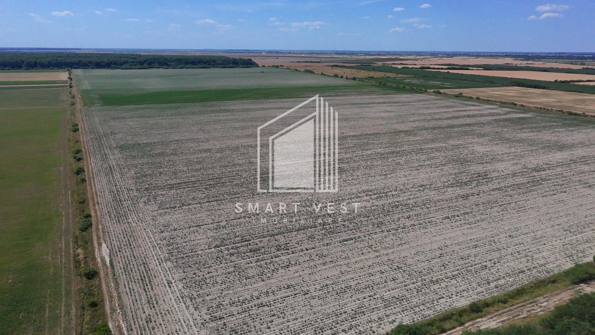 Teren agricol 96.500 mp | Zona Aeroportul Satu Mare - Poză 3