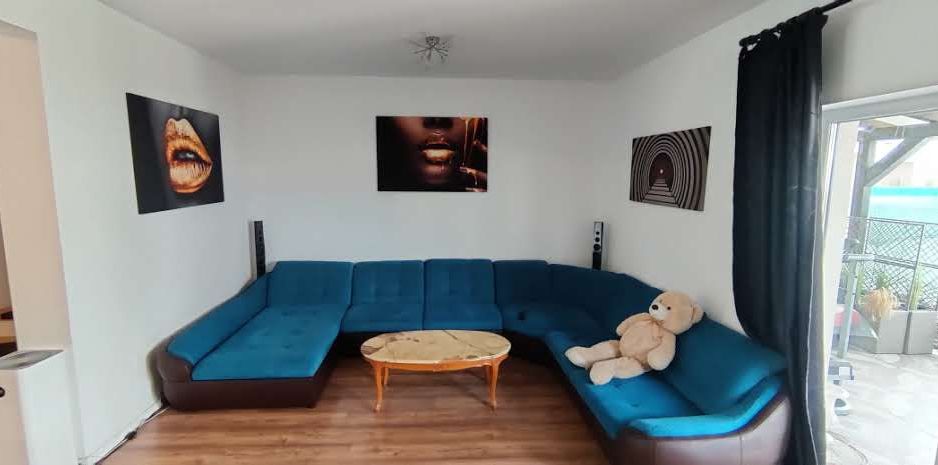 DUPLEX MOSNITA NOUA  98 MP UTILI CU 375 MP TEREN - Poză 1