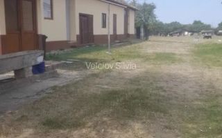 Casă individuală Dudeștii Noi | 2.526 mp teren | Pivniță - Poză 7