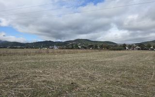 Teren Zarnesti strada Mare - Poză 5