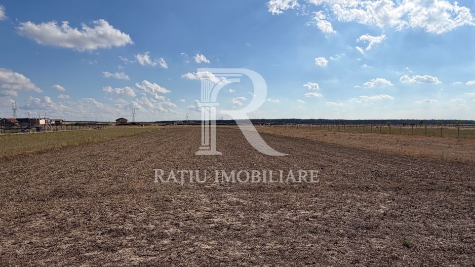 Casă cu livadă, grădină și anexe, | Les | Oradea - Poză 20