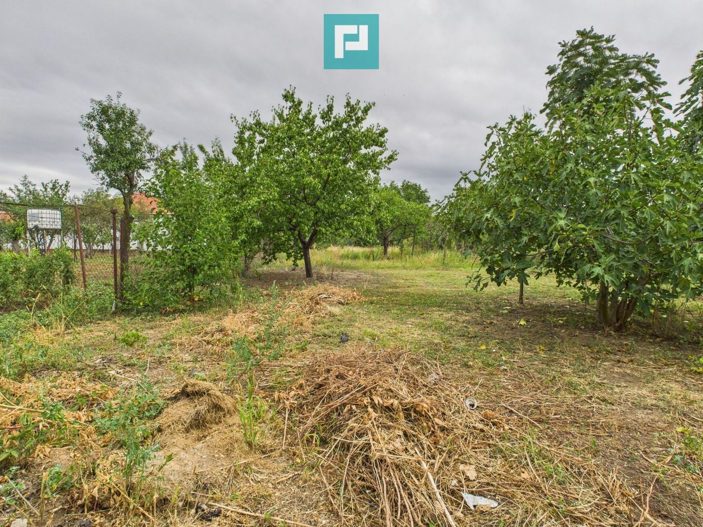 Casă în stil nemțesc, zonă centrală – Vinga - Poză 12