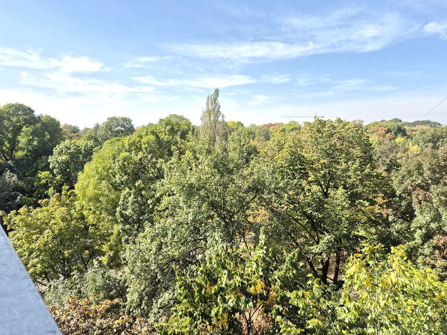 COMISION 0% - Apartament 2 camere 54mp luminos la 3 minute metrou Parc Bazilescu - Poză 7