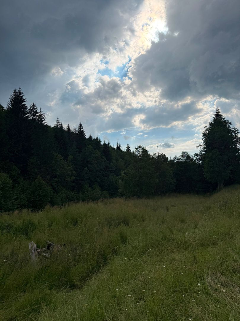 PARCELE DE VÂNZARE, pe malul râului BÂSCA, COMANDAU, COVASNA - Poză 7
