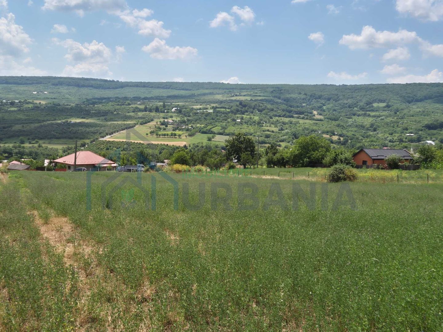 Teren intravanal de vanzare in Tomesti-Goruni, Iasi - Suprafete intre 700 si 800 mp - Poză 3