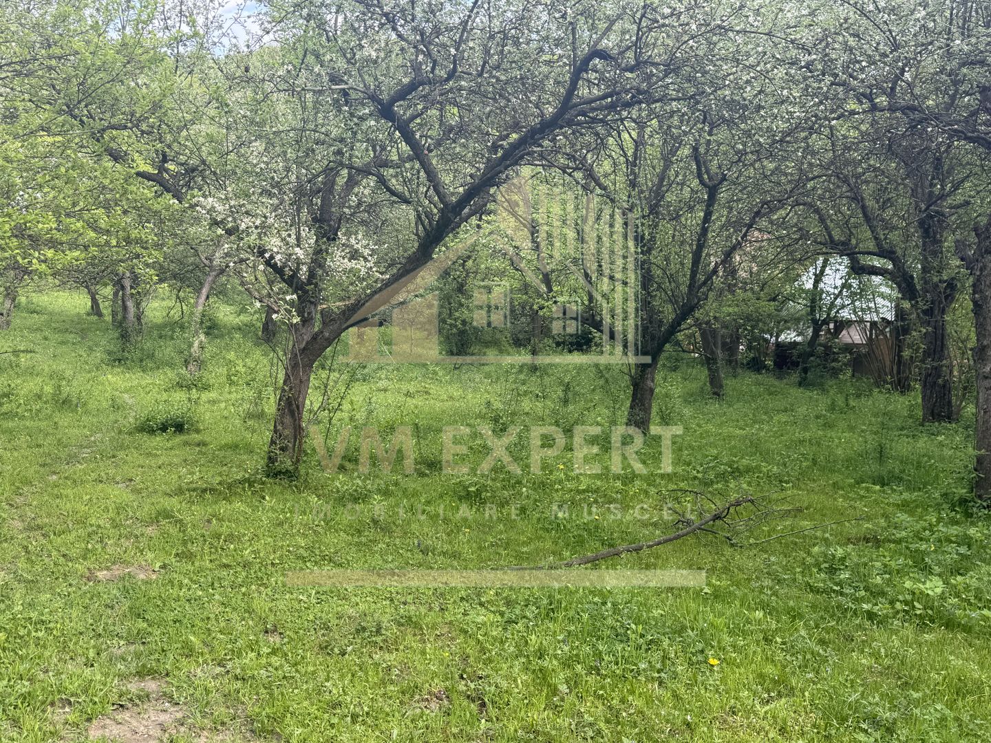 TEREN INTRAVILAN 7018 MP CAMPULUNG - Poză 34