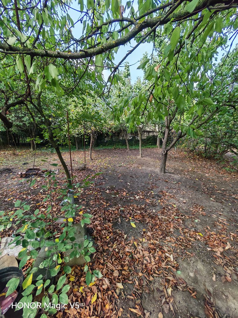 Teren de vanzare cu doua fronturi stradale - Poză 9