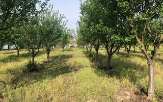 Casa de vanzare in loc. Crucisor - Poză 6