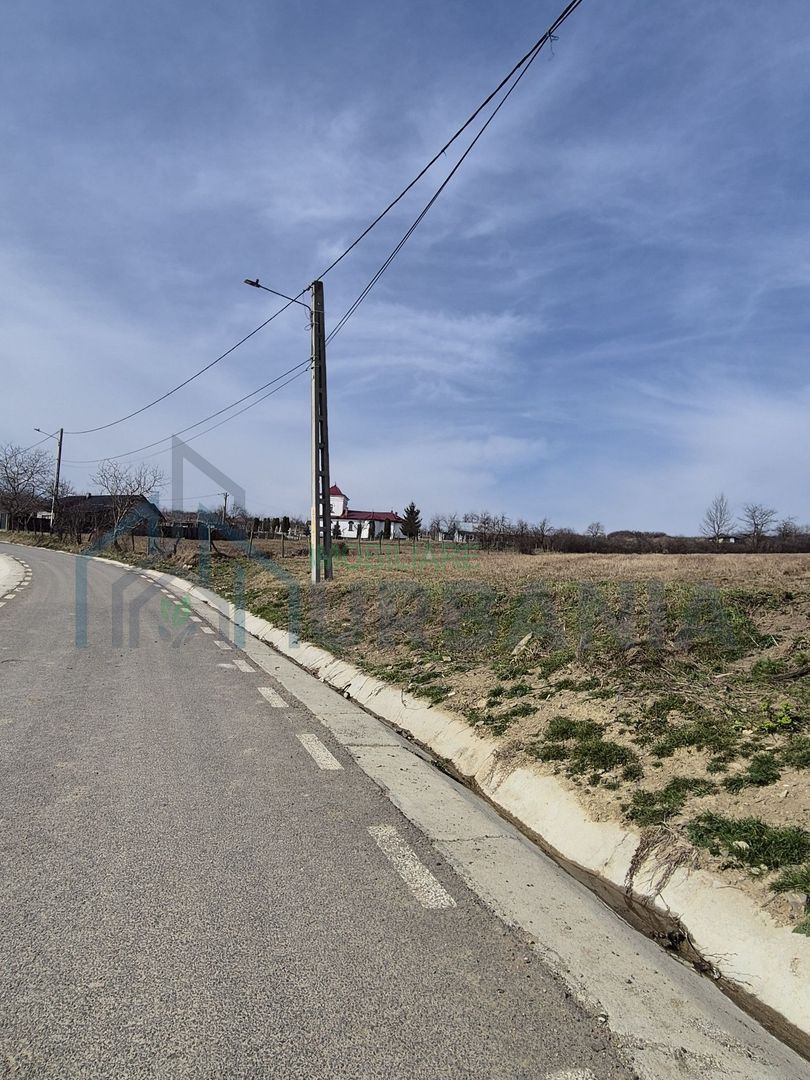 Teren intravilan de vânzare în Tomesti-Goruni – parcele de 700 mp și 3000 mp - Poză 5
