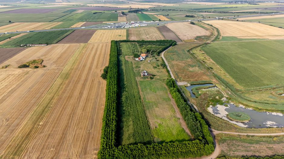 Preț nou! De vânzare teren 7.6 Ha în Pecica - Poză 5