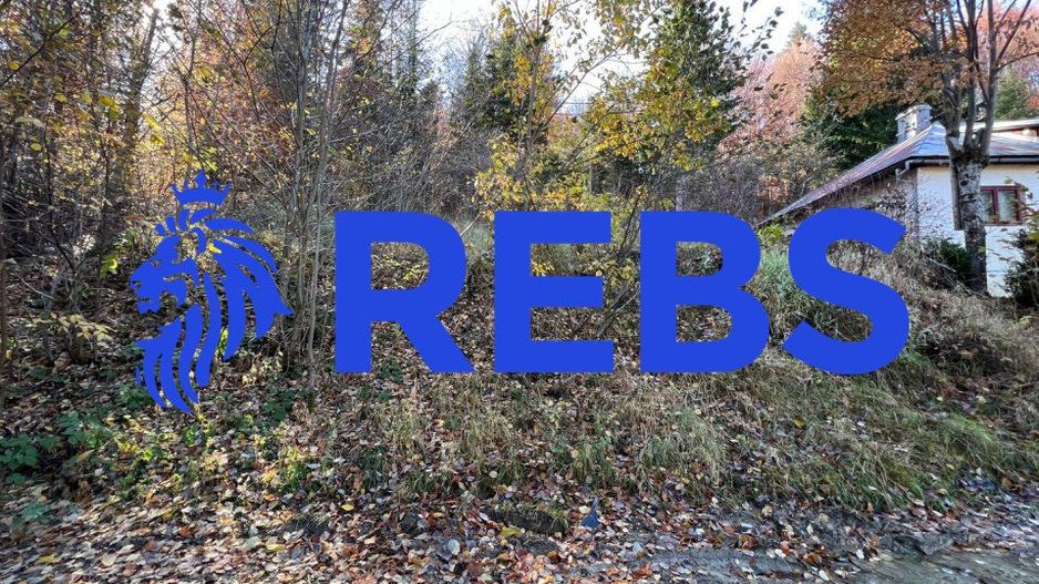 Teren 500 metri - central Sinaia - ideal constructii - Poză 3