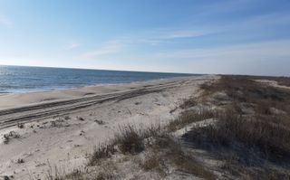 Teren 1000 mp - Plaja Vadu - Poză 1