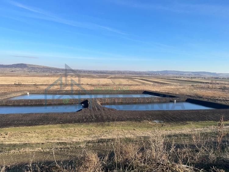 Amenajare piscicola de vanzare, 19.000 mp, Bursuc Deal, Comuna Lespezi, Judetul Iasi - Poză 1