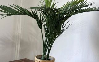 Garsonieră spațioasă, pet friendly, mobilată complet, etaj 4, Vitan - Poză 10