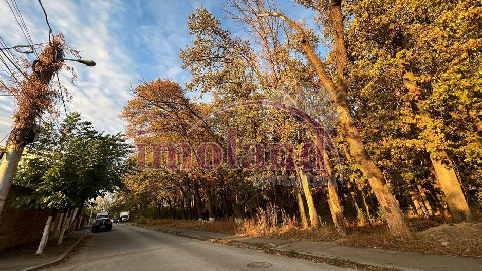 Teren intravilan - vanzare - Colentina - Padurea Andronache - Poză 4