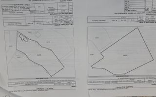 Teren intravilan 15.000 mp+casa 150mpTargu Mures,45 euro mp. - Poză 6