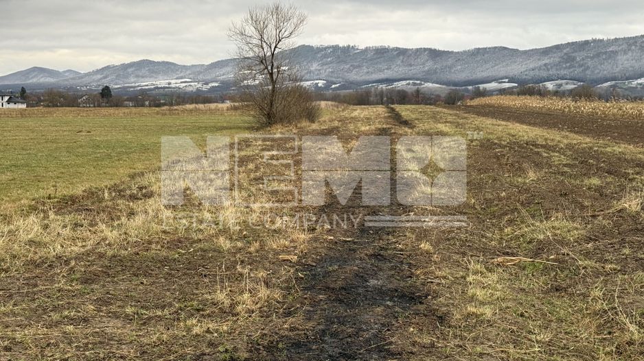 Teren 80 Ari | Vicovu de Sus – Bahna | Front 16.5 - Poză 2