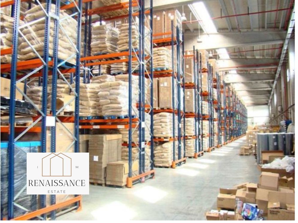 Hala Moderna 6200mp | Panouri Solare - Freidorf - Acces la Centura - Poză 6