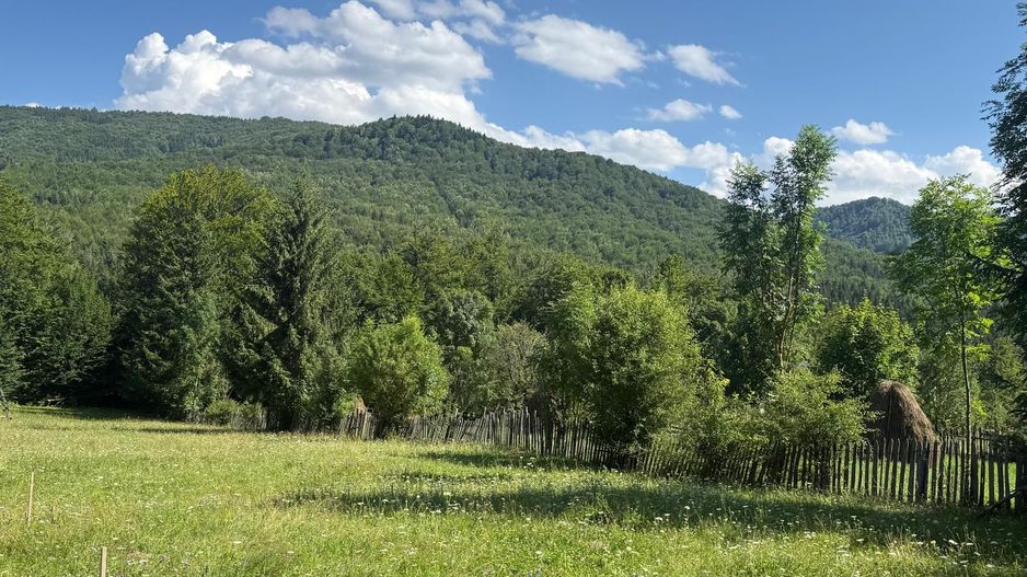 Teren intravilan 1662 mp pozitie superba-Calea Brasovului Valea Neagra - Poză 5