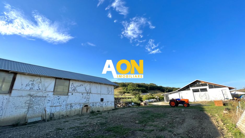 Ferma de vanzare cu 550MP utili si 27.500MP teren la asfalt - Poză 5