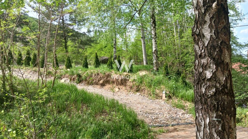 Teren pentru cabana, Marajdie deschidere la rau Gura Raului Sibiu - Poză 7