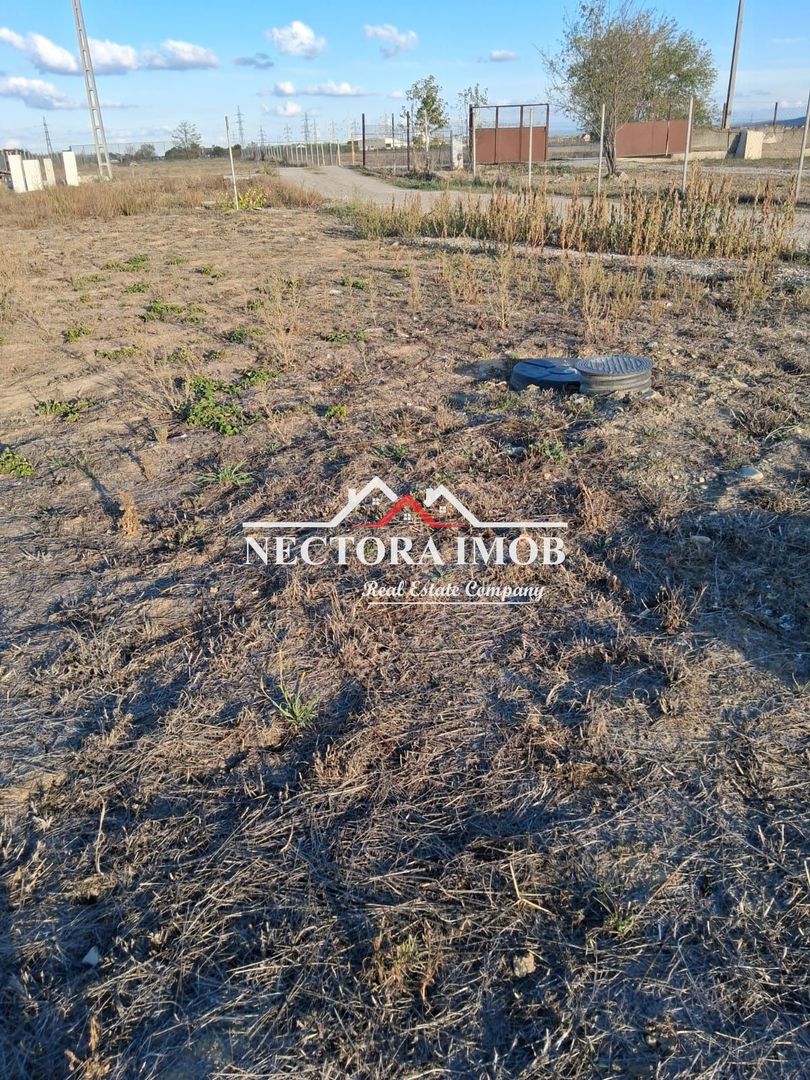 NECTORA IMOB-Teren Intravilan Cartier GRIGORESCU, 486 mp, Utilitati - Poză 5