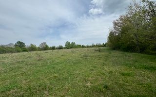 TEREN INTRAVILAN, 7472 MP, VALEA MARE PRAVAT, ARGES - Poză 1