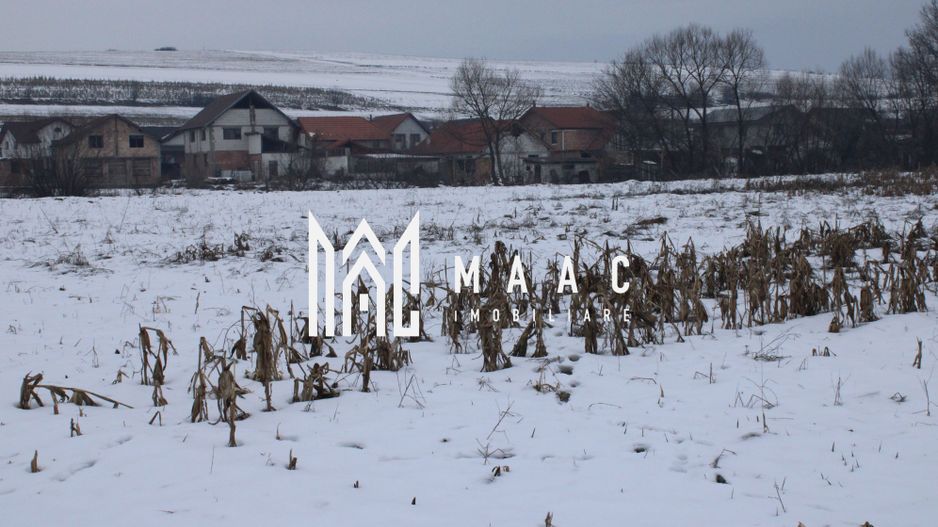 Ferma de Vânzare – Oportunitate Unică! - Poză 28