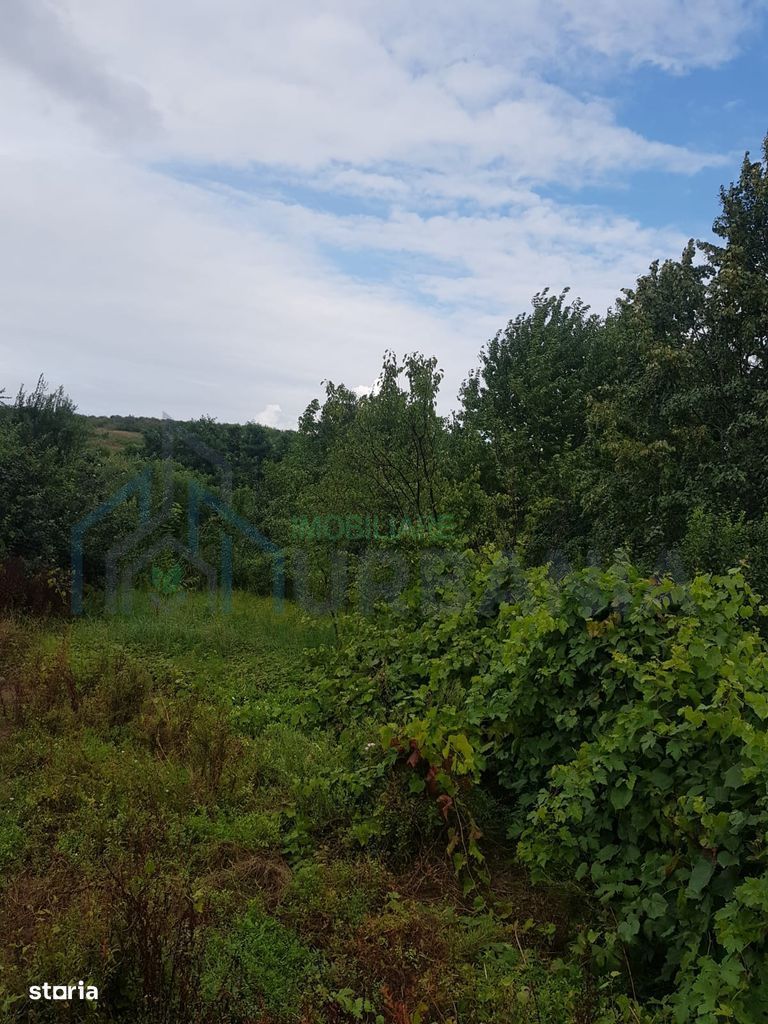 Casă cu 5 camere, mansardă și garaj în cartierul Bucium, Iași - Poză 4