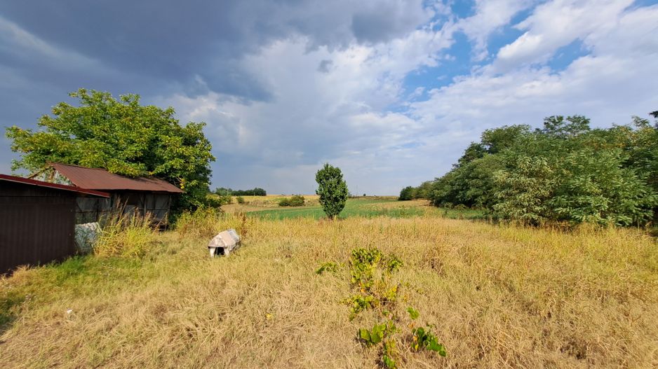 Casa + Teren 13.000 mp - Cervenia - Teleorman - Poză 4