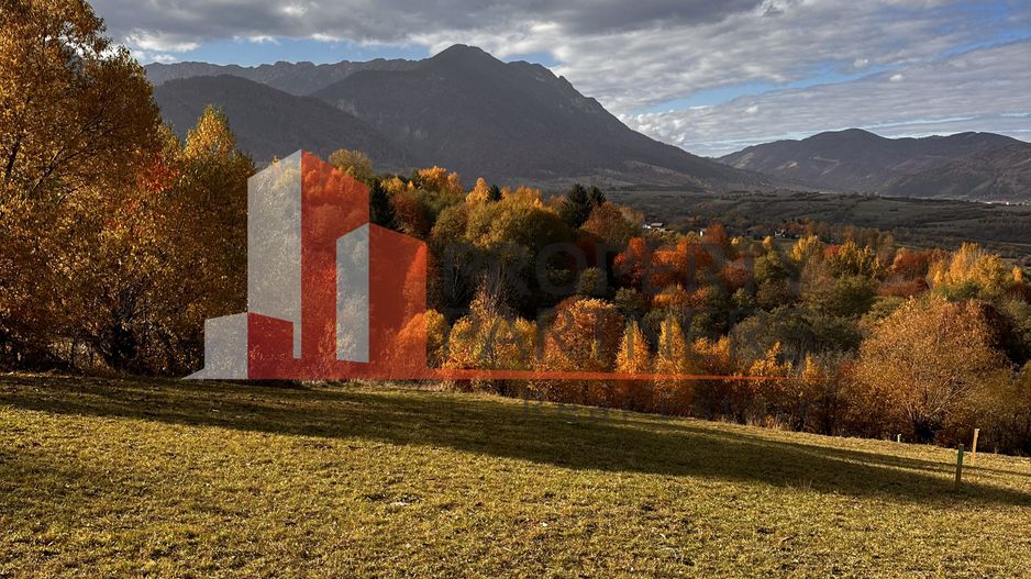 Teren Bran-Tohanita loturi intre 500/1000 mp - Poză 1