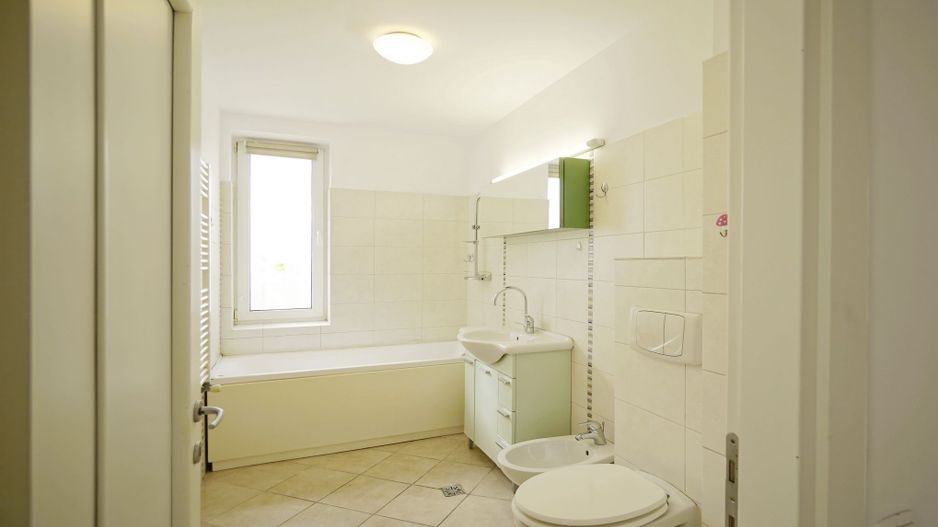 Vila Voluntari, stradal - Poză 20