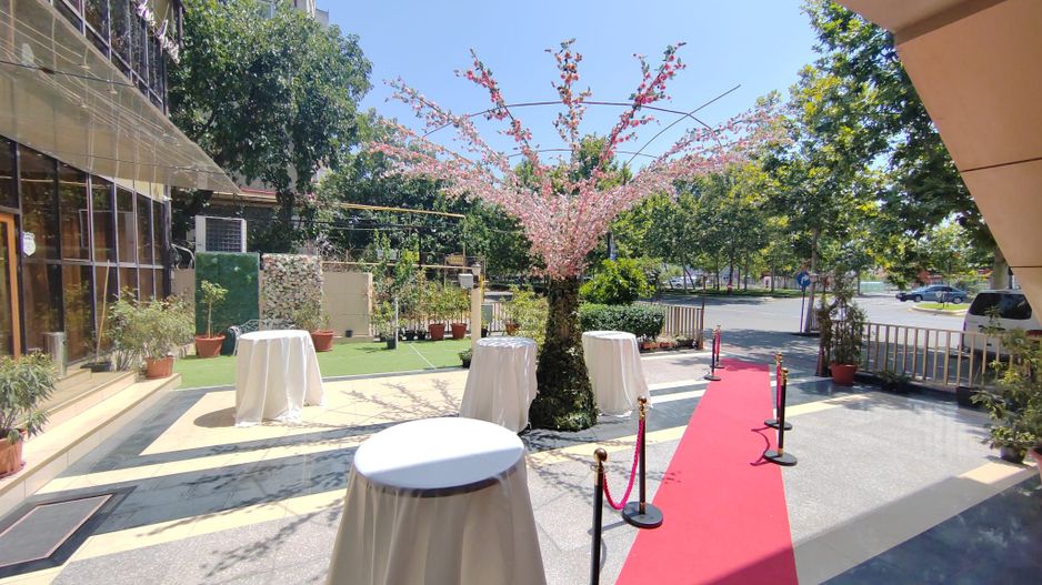 PALLADY - Titan | Restaurant Casa Luminita - Preluare Afacere - Poză 2