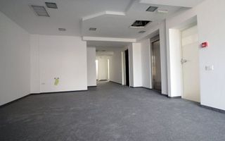 Cladire birouri inchiriata complet, zona Basarab - Titulescu - Poză 8