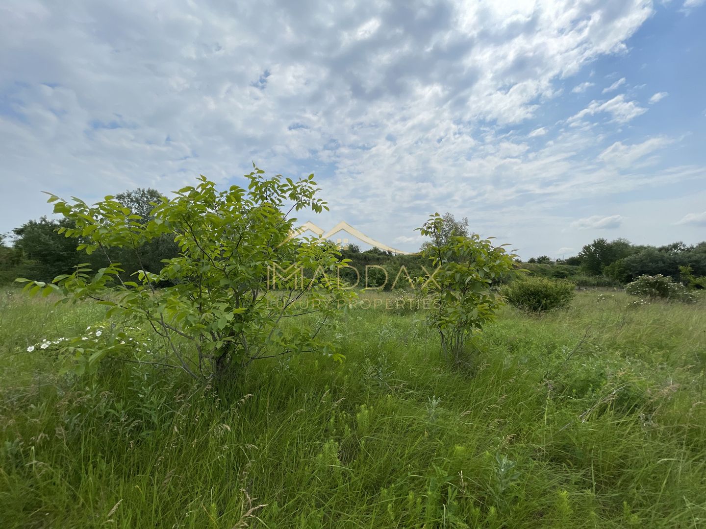 Teren intravilan***1439 mp***Cretesti-Vidra-Ilfov - Poză 10