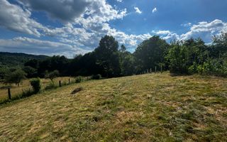 TEREN INTRAVILAN,  SUPRAFAȚA 3446 MP, BUGHEA DE SUS, ARGES - Schiță 1