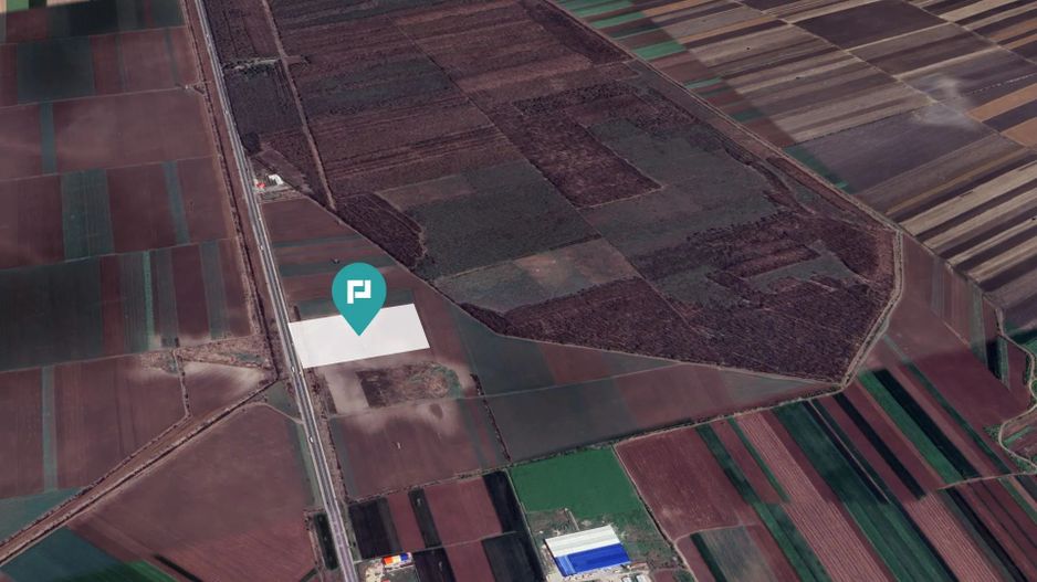 Teren 48300 mp, Daia, Giurgiu - Poză 2