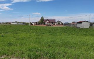 🌿 Teren de vânzare – Răcari, Str. Mestecenilor - Intrarea cu Tei - Poză 4